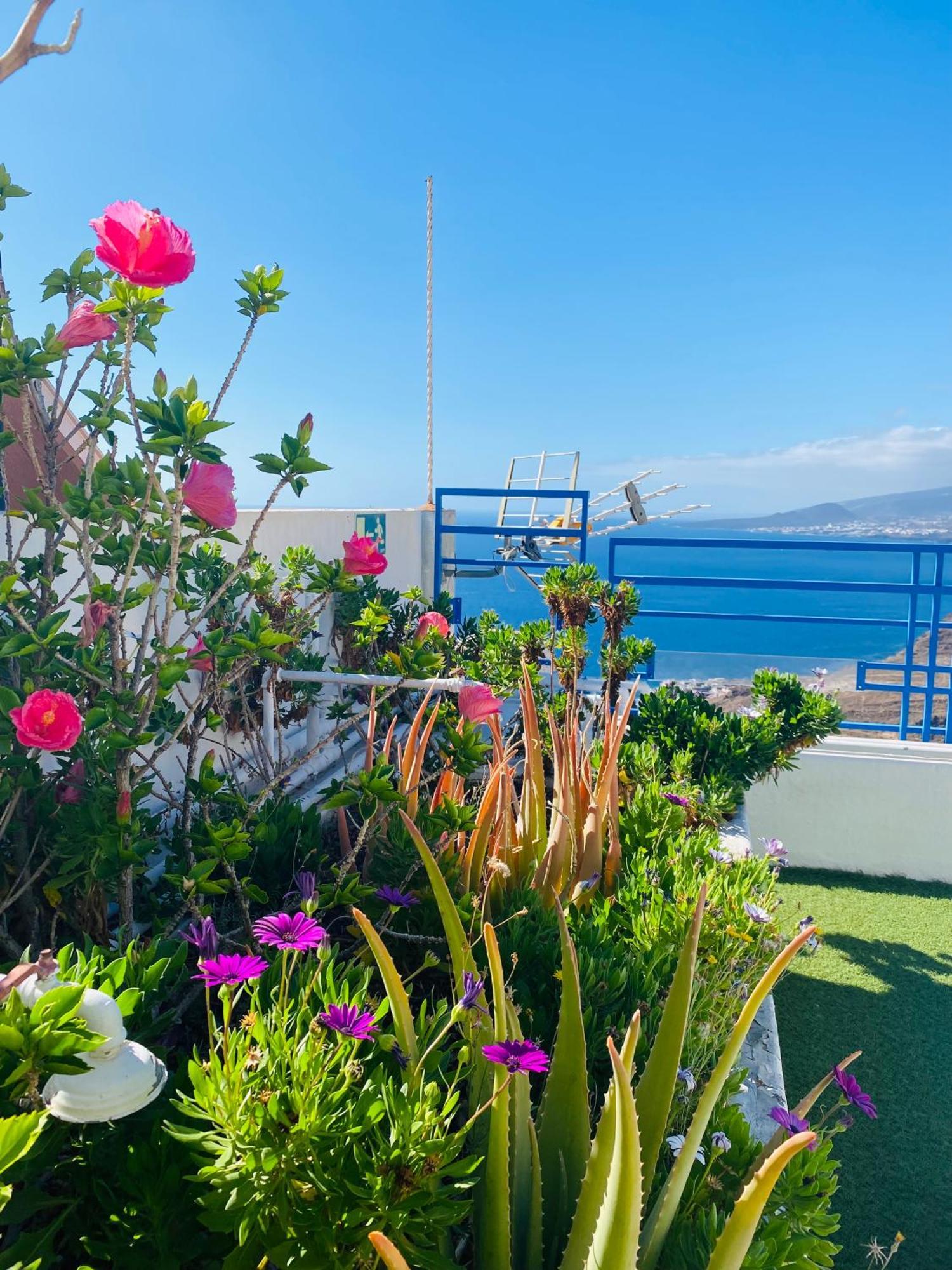 Apartamento Atlantico Santa Cruz de Tenerife Ngoại thất bức ảnh
